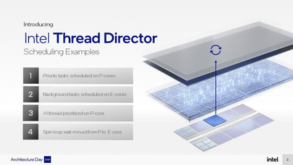 director中文,director翻译成中文