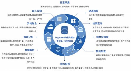 网络运维需要掌握什么技术,网络运维主要工作