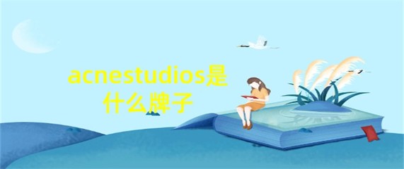 acnestudios是什么牌子,acne studio算什么档次