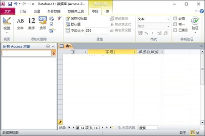 access2010中文破解版,access 破解版