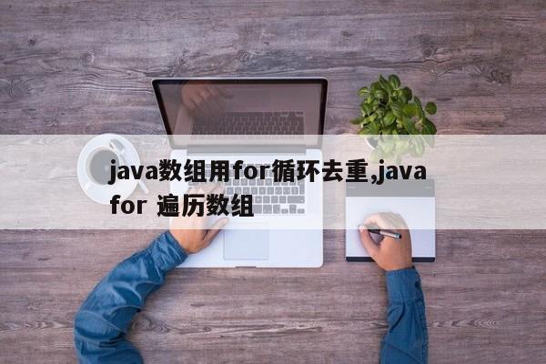 java数组用for循环去重,java for 遍历数组