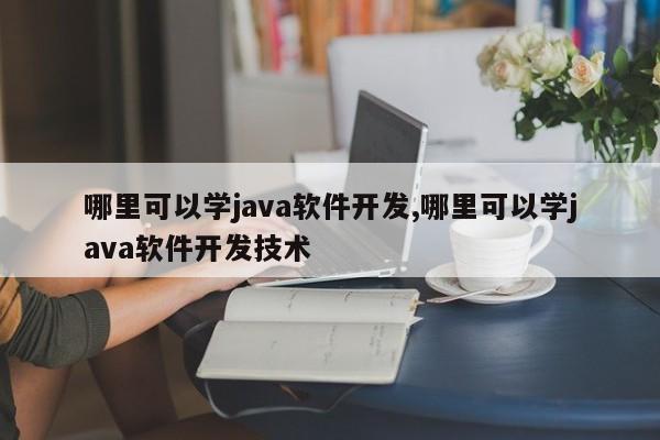 哪里可以学java软件开发,哪里可以学java软件开发技术