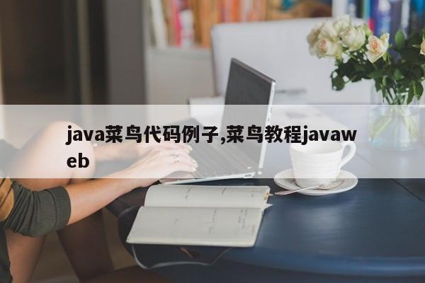 java菜鸟代码例子,菜鸟教程javaweb