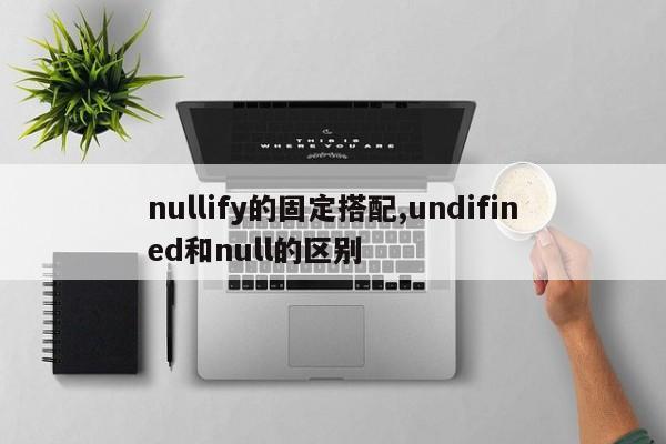 nullify的固定搭配,undifined和null的区别