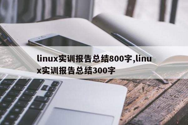 linux实训报告总结800字,linux实训报告总结300字