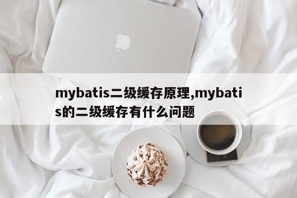 mybatis二级缓存原理,mybatis的二级缓存有什么问题