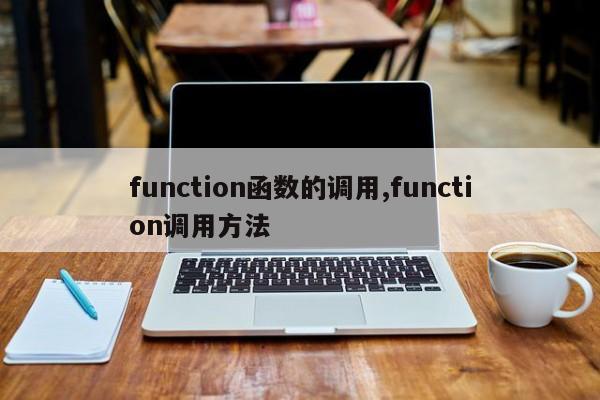 function函数的调用,function调用方法