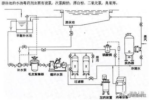 泳池循环设计方案[泳池循环设计方案模板]